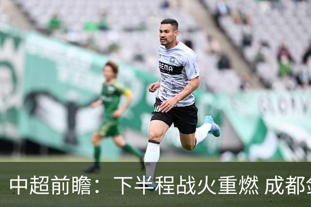 中超前瞻：下半程战火重燃 成都剑指三分申花求反弹